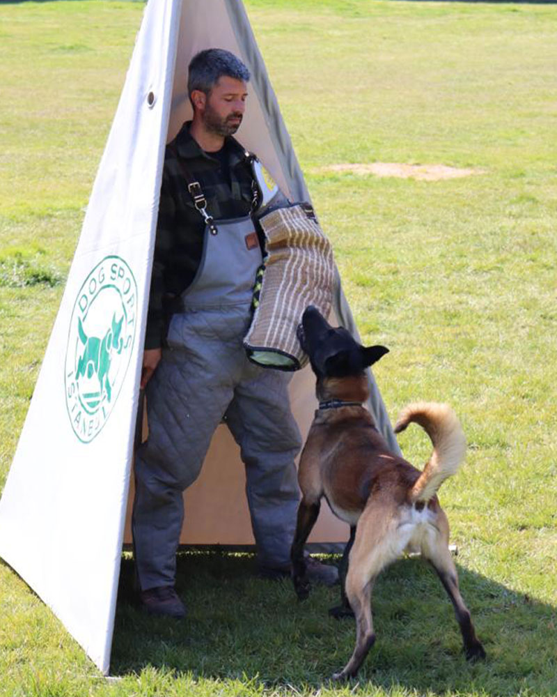 trakya köpek oteli